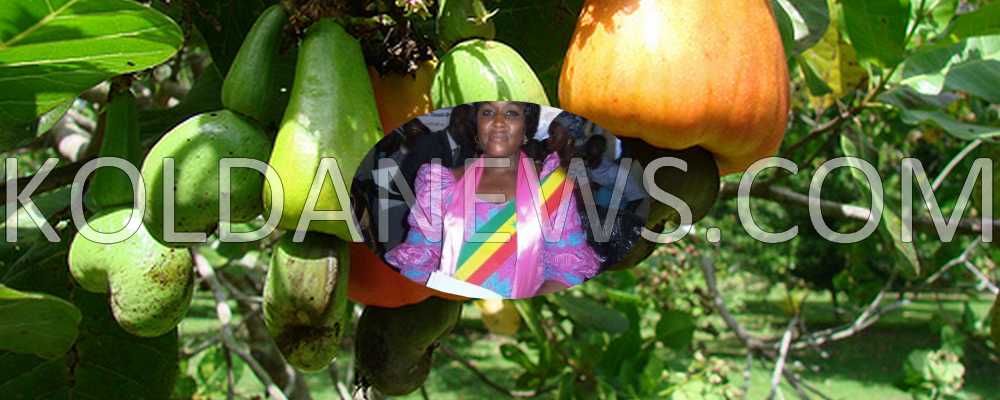 Goudomp : Baisse du prix de l’anacarde, le députe Mariama Mané plaide pour les planteurs du Balantacounda