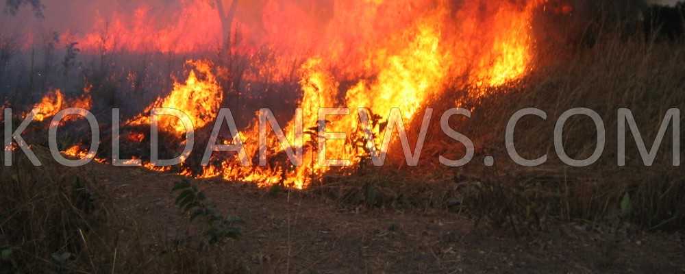 Série d’incendie à Vélingara : un mort, et plus de 70 cases emportes par le feu