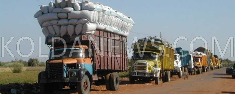 Crise sénégalo-gambienne : Une mission de la CEDEAO à Banjul