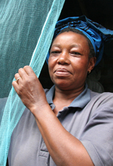 Vaincre le paludisme : Journée mondiale de lutte contre le paludisme 25 avril 2014