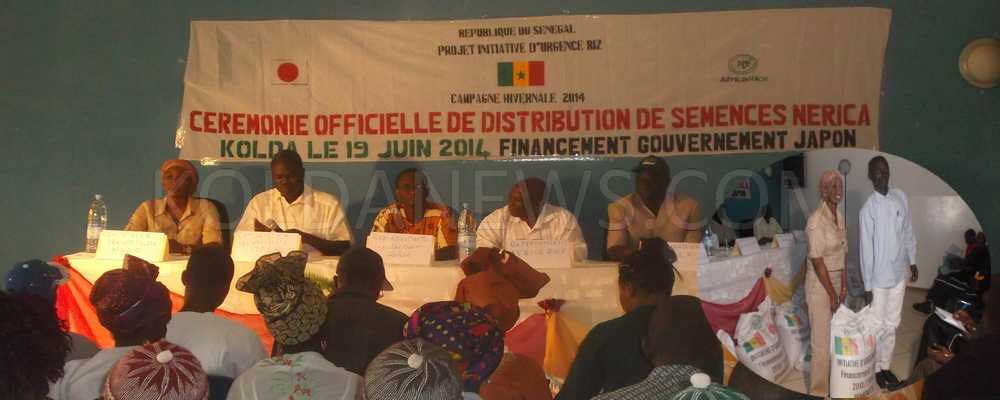 KOLDA : 20 tonnes de NERICA distribuées à des producteurs grâce au projet Initiative d’urgence Riz