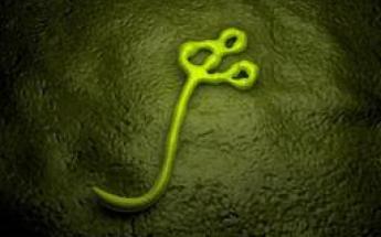 Ebola – La Californie impose la quarantaine aux voyageurs revenant des pays africains les plus touchés par l&rsquo;épidémie