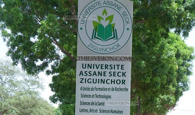 Des étudiants de Ziguinchor, en enquête de terrain à Kolda du 3 au 5 novembre prochain