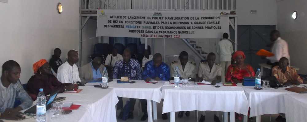 L’ANCAR lance le Projet d’Amélioration de la Production de riz dans la Casamance naturelle