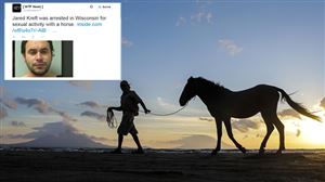 La police surprend un homme en train de pratiquer une fellation à un cheval