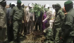 «TOUBA VILLE VERTE» : Un projet très apprécié par le Khalife Général des Mourides