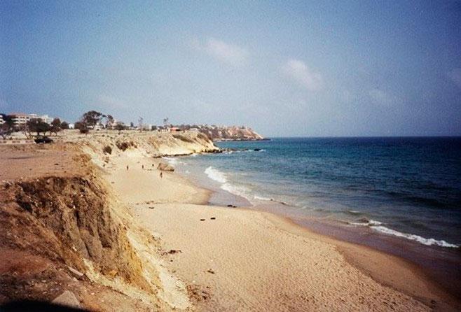 Sénégal : le Bradage des ressources foncières du pays fait scandale