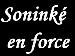 Vélingara : Fête du 4 avril, l’association des soninkés va jouer sa partition