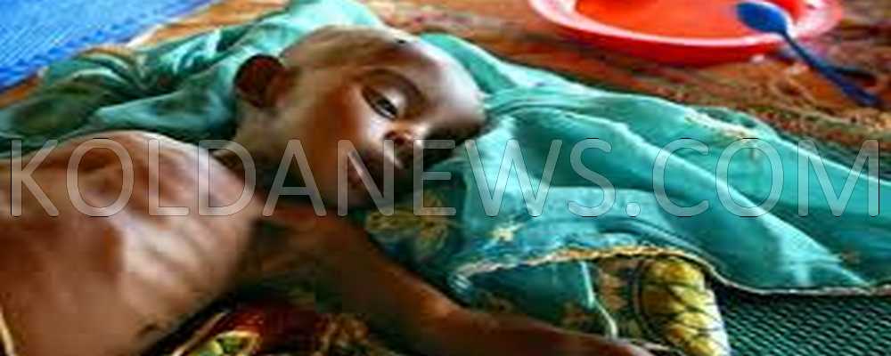 LUTTE CONTRE LA MALNUTRITION : Le PINKK fait son entrée à Mampatim