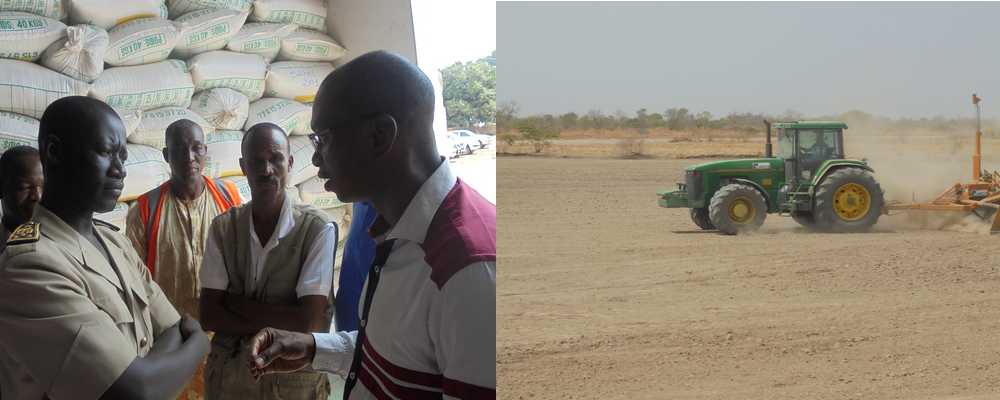 PNAR : Plus de 3000 ha de la vallée de l’Anambé vont être mis à la disposition des producteurs d’ici fin juin