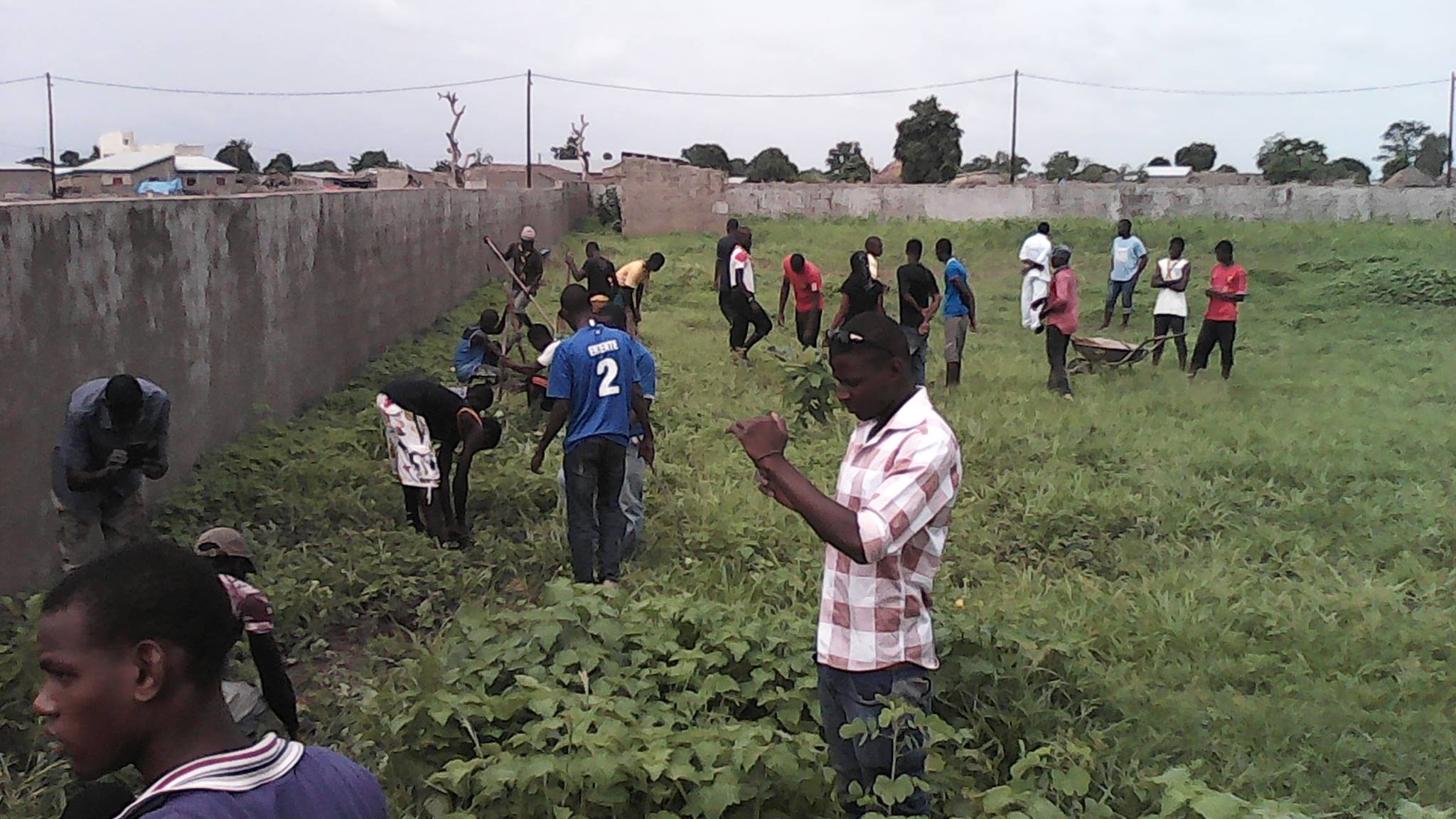 Reboisement au nouveau lycée de vélingara la zone 1c montre la voie
