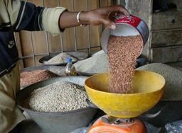 JMA : Kolda célèbre l’événement à Medina Yoro Foula