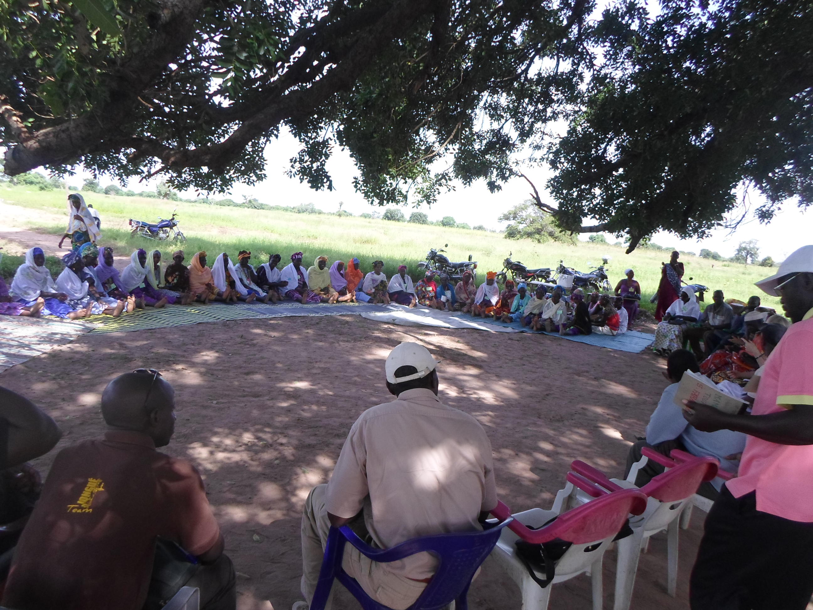 Vélingara : Projet culture, éducation de Grand Mother Project Journée de louanges aux grands mères à Saré Samba Nety