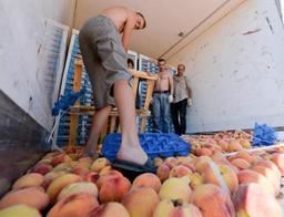 Incident Turco-russe : La Russie renforce ses contrôles sur les produits alimentaires importés de Turquie