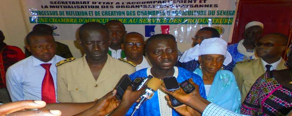 KOLDA : Le Ministre Moustapha Lo Diatta lance le processus de réflexion et de création des Chambres d’Agriculture