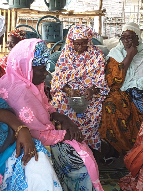 Mora CISSE et Cheikh BAKHOUM soutiennent les femmes de Grand-Yoff dans le micro-jardinage…