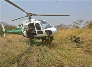 RDC: La préservation du parc de la Garamba, un miracle absolu!
