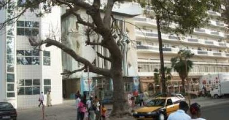 Nue, Kathérine Carine Doudk saute du 7e étage de l’immeuble Kébé et meurt…