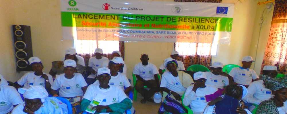 L’ONG 7A et ses partenaires vont injecter 700 mille Euros pour renforcer la sécurité alimentaire et nutritionnelle à Kolda.