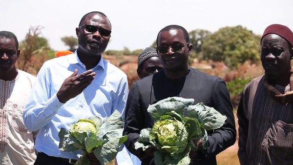 Le Diobass prêt à abriter un Domaine Agricole Communautaire (DAC) de 1000 ha pour un investissement de 5 milliards de FCFA