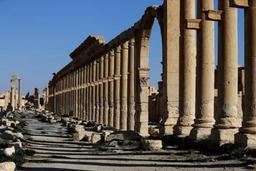 Découverte macabre à Palmyre (Syrie) : Un charnier de 150 corps !