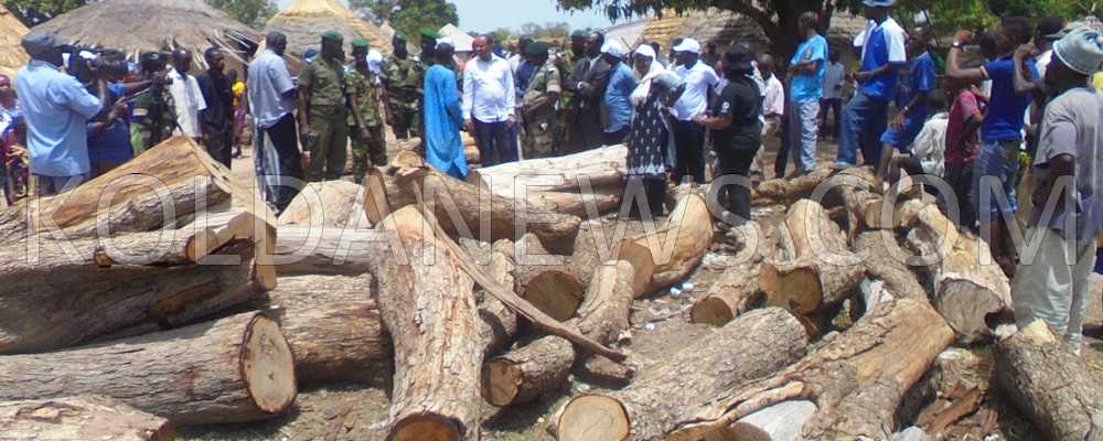 Protection de l’environnement et des ressources naturelles : le Commandant des forces de défense sur la ligne de front.