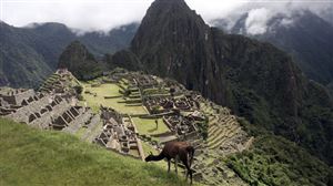 Accident : Un Allemand se tue en essayant de prendre une photo originale sur le site du Machu Picchu