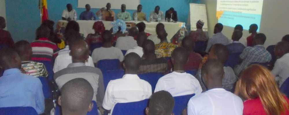 KOLDA : Le Mouvement Bamtaare Sénégal vulgarise le PSE