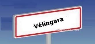 Vélingara /Hivernage : LES FEMMES SE PLAIGNENT DE LA CHERETE DES LEGUMES