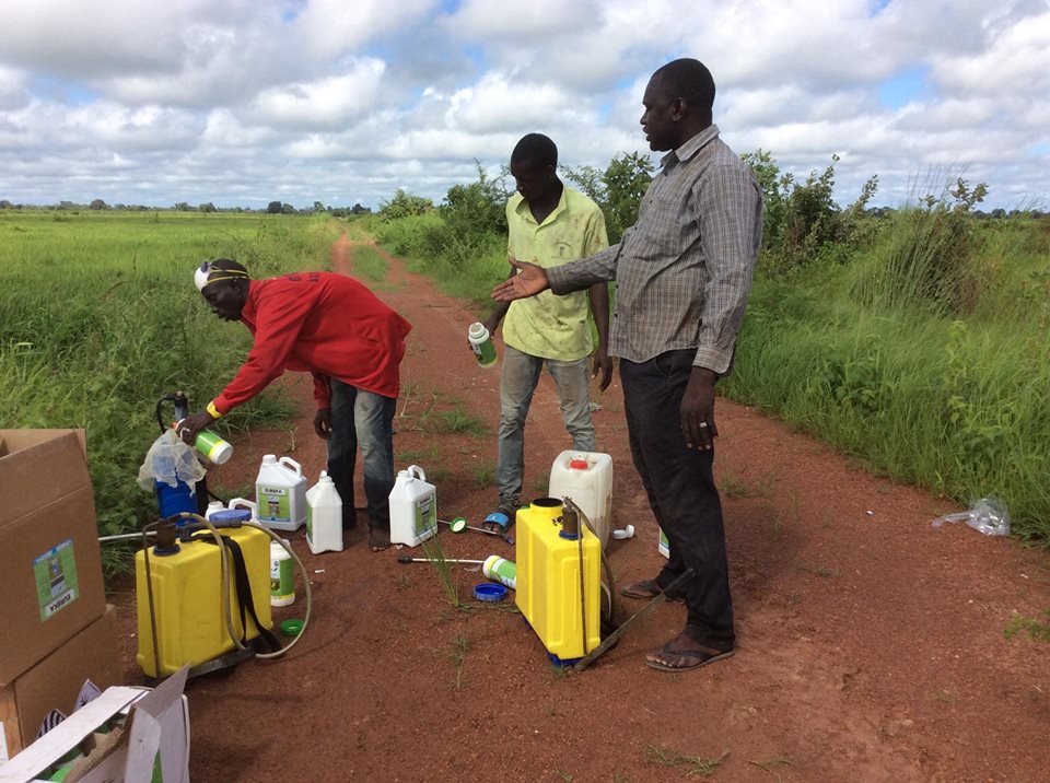 De l’agriculture   à l’entreprenariat, Amadou Diaby  Poursuit son petit bonhomme de chemin