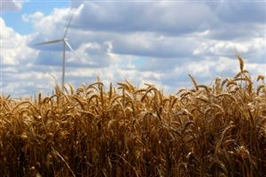 Green bonds ou Obligations vertes: la France a levé 7 milliards d&rsquo;euros