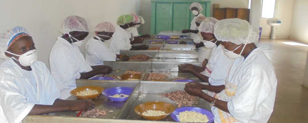 Les réalisations du PADEC : 240 projets mis en place, « plus de 3000 emplois créés »(coordonnateur)