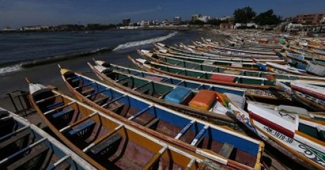 La surpêche menace la sécurité alimentaire au Sénégal (Greenpeace )