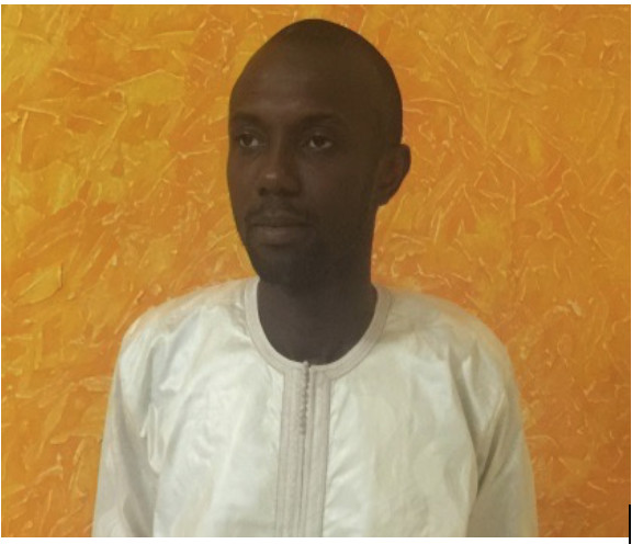 Pourquoi le CFA-exit excite si peu ? (Dr. Papa Abdoulaye DIOP )