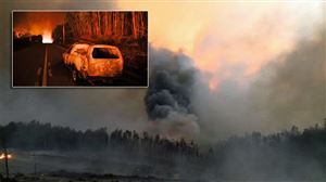 Tragédie au Portugal: un feu de forêt piège des automobilistes et tue au moins 25 personnes