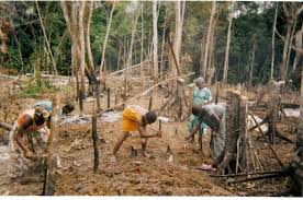 KOLDA : Neuf villages de l’arrondissement de Mampatim mettent fin à l’enclavement de leur localité