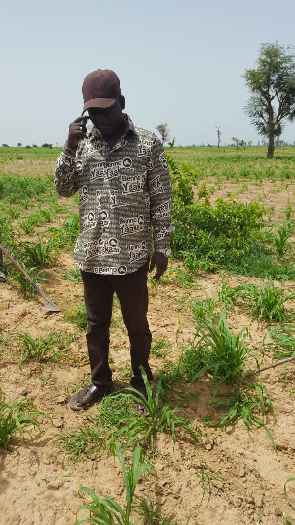 BBY rafle la mise à Ndiaganiao