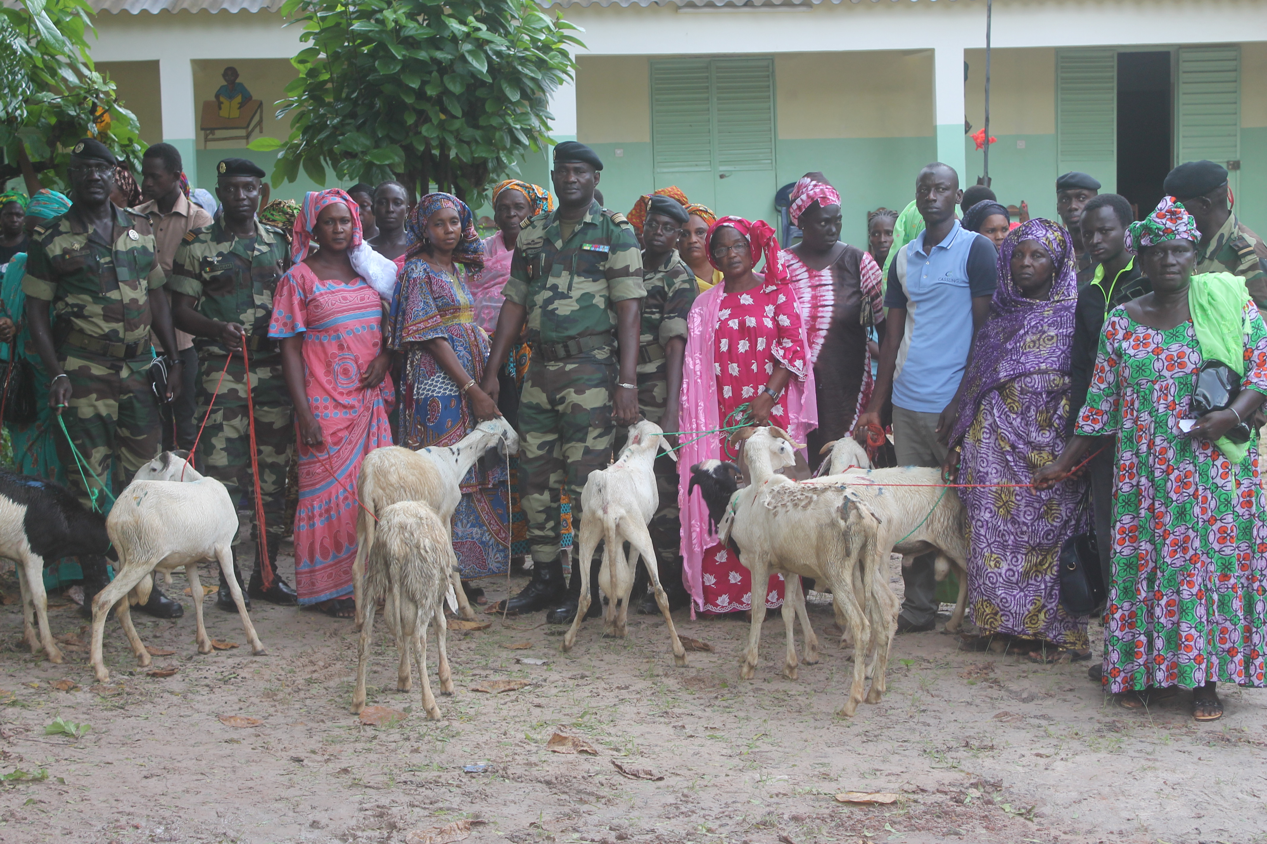 KOLDA : l’Armée offre 43 moutons aux veuves de militaires