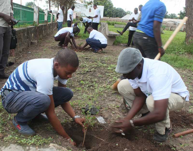 KOLDA : la CEFE reboise les principales artères de la ville