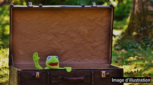 Incroyable technique de vol en France: caché dans une valise, il se laissait enfermer dans la soute d’un bus