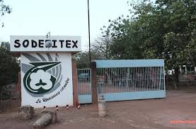 Vélingara/Sodefitex : Les travailleurs saisonniers plaident pour l’arrêt de l’évacuation du coton à Tamba