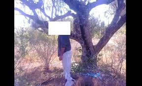 MEDINA YORO FOULA : un maure a été retrouvé mort pendu à un arbre