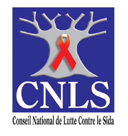 Nouveau plan stratégique du CNLS : Priorité aux personnes vivant avec un handicap