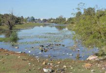 KOLDA : les acteurs demandent avec insistance le dragage du fleuve Casamance