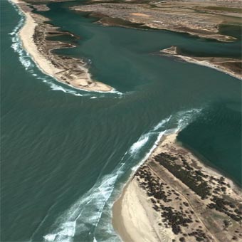 Protection de la Langue de Barbarie : le gouvernement invité à intensifier ses actions