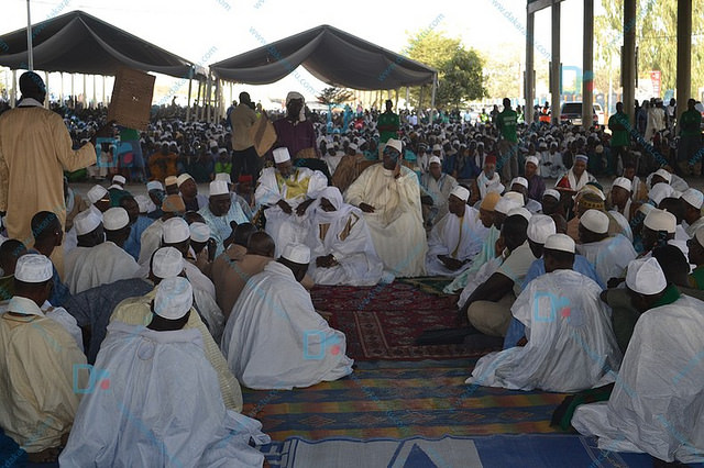 DSC_0230-BorderMaker