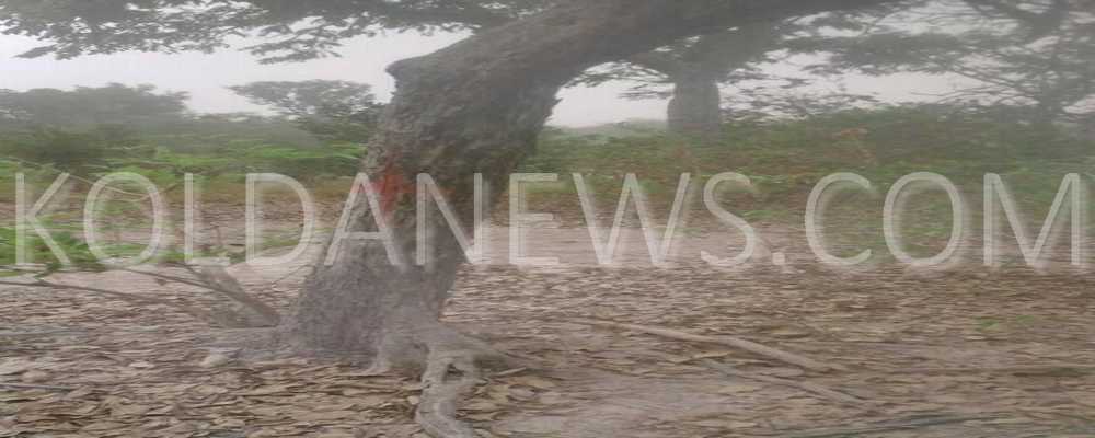 ALERTE A PAKOUR : Octroi de 1000 ha au promoteur Mamadou Sall sans entente avec les populations