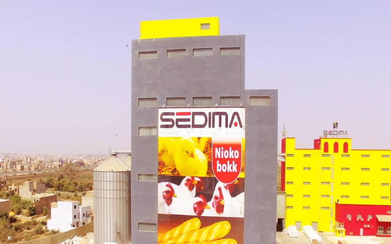 La SEDIMA assure pouvoir fournir 42 à 45 millions de poussins par an