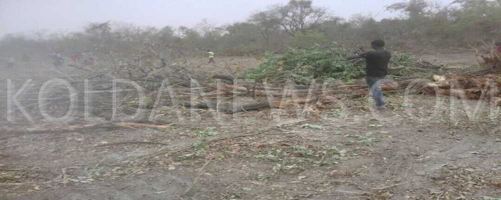 Pakour : l’affaire de la délibération des 1000 ha, les travaux de défrichage arrêtés