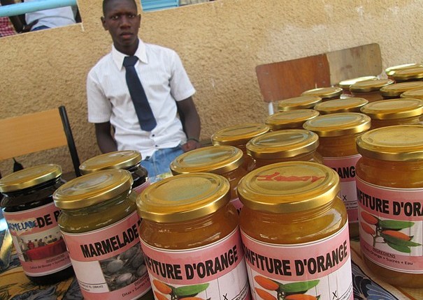 Entrepreneuriat agricole : Le lycée technique Emile Badiane de Bignona innove